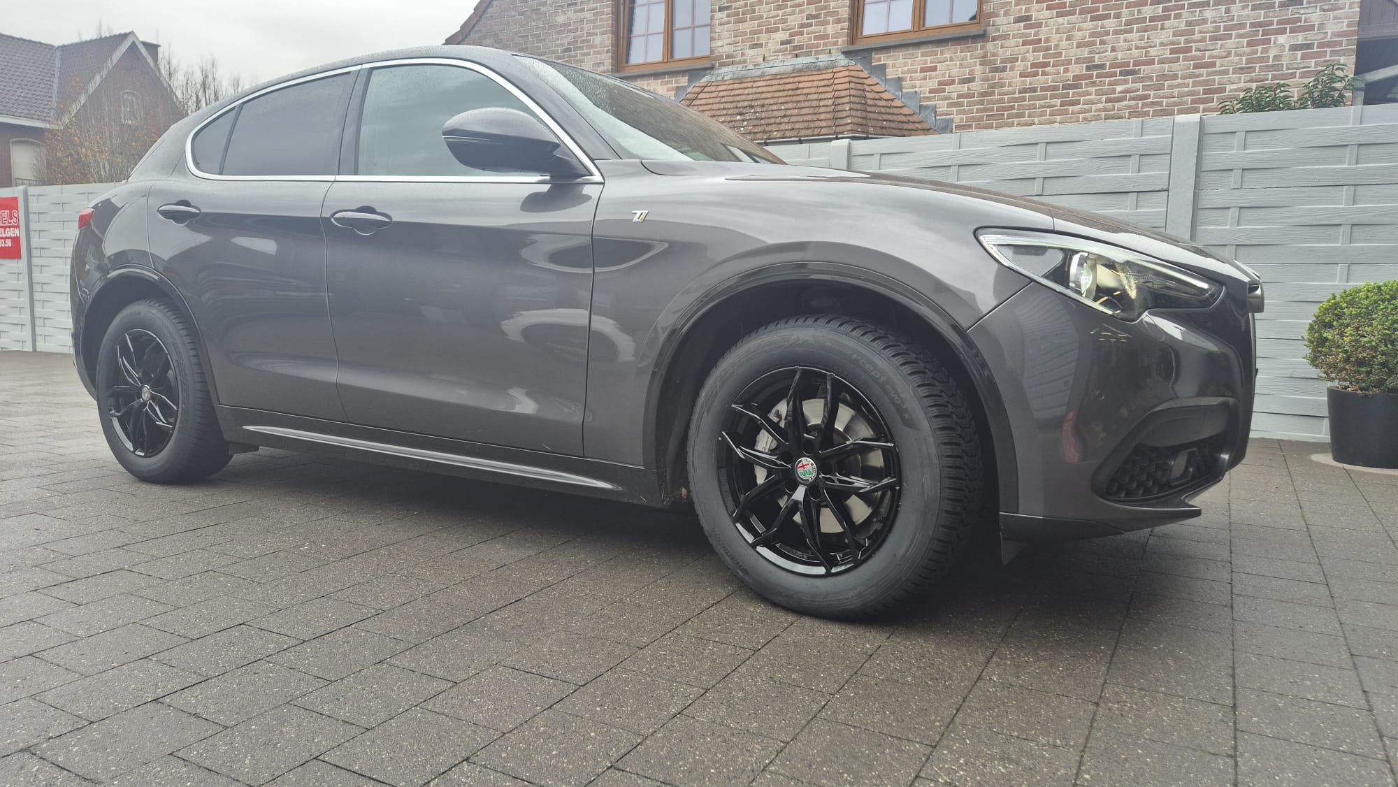 alfa winterset